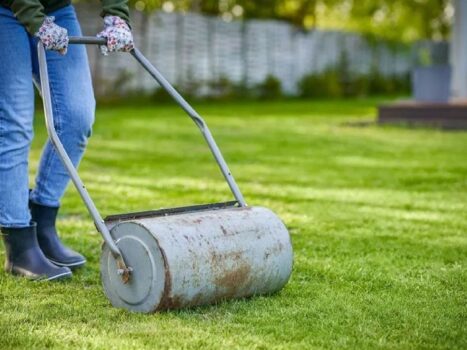 10 Best Lawn Rollers 2025